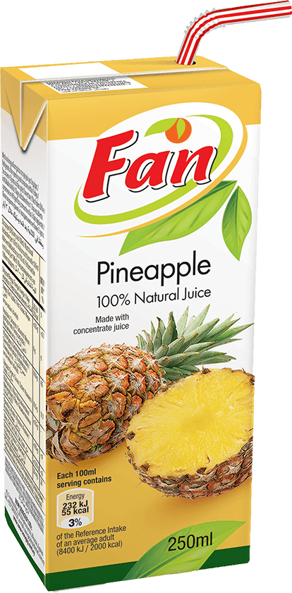FAN Pineapple Juice 100%